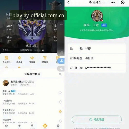 爱游戏平台安装官方下载 vs 第三方资源：爱游戏体育平台用户选择指南